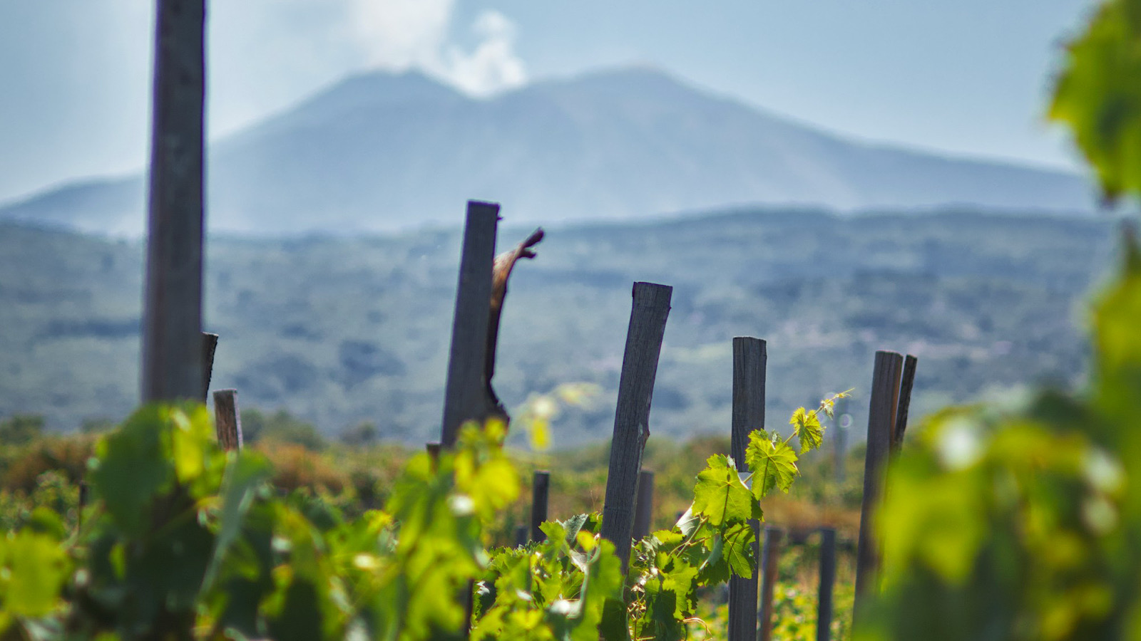 Vulkanan Etna og vin i Italien