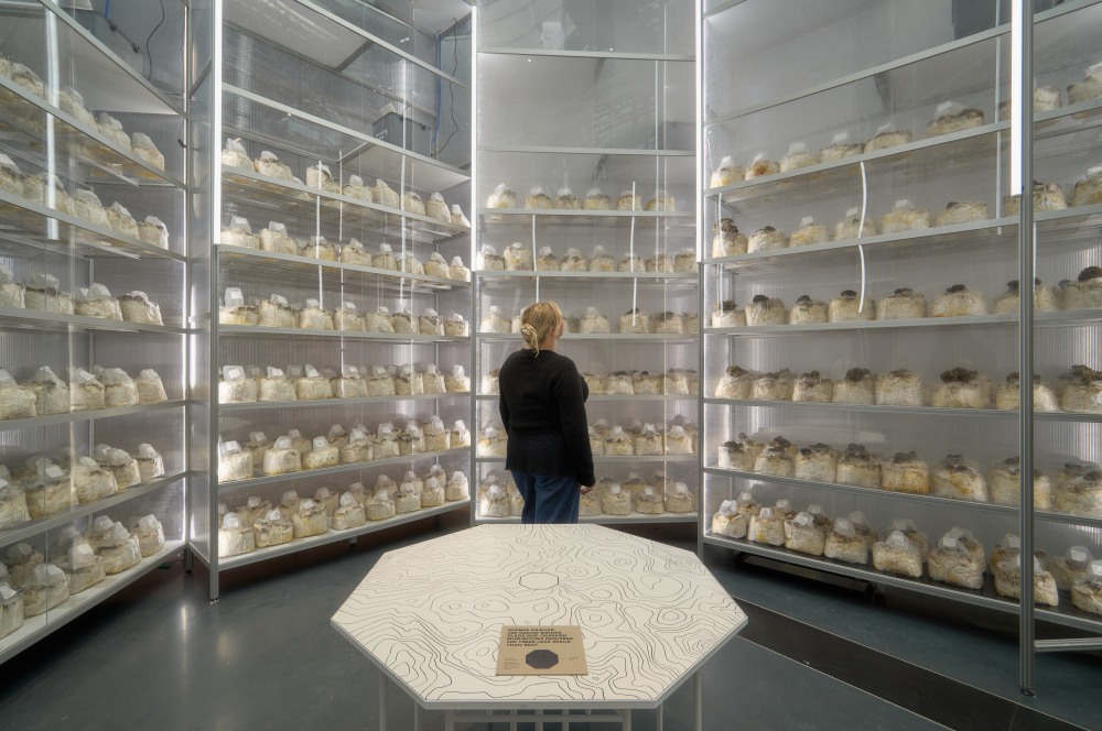 Foto af noget, der ligner poser med sand eller såsæd, på udstillingen i DAC.