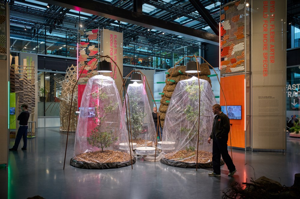 De omtalte lungetræer på DAC-udstillingen Age of Nature.