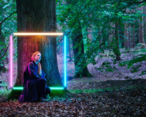 Naturens alder kalder – DAC’s ‘Age of Nature’ viser vejen mod en ny balance mellem menneske og planet