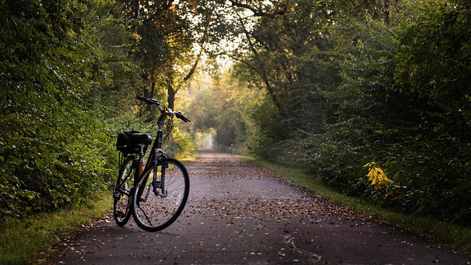 Foto af grøn sti og en parkeret cykel som symbol på omstilling i psykiatri og mental sundhed.