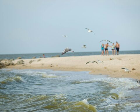 Hvordan undgår vi, at klimakampen ender i kulturkløften?