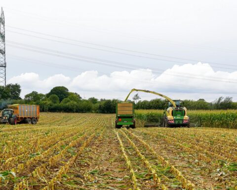 Debat: Landbrugslobbyisterne gungrer derudad