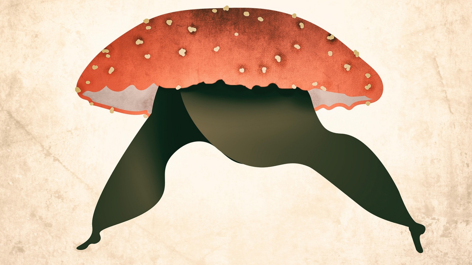 En illustration, der er et miks af en paddehat og en kvinde.