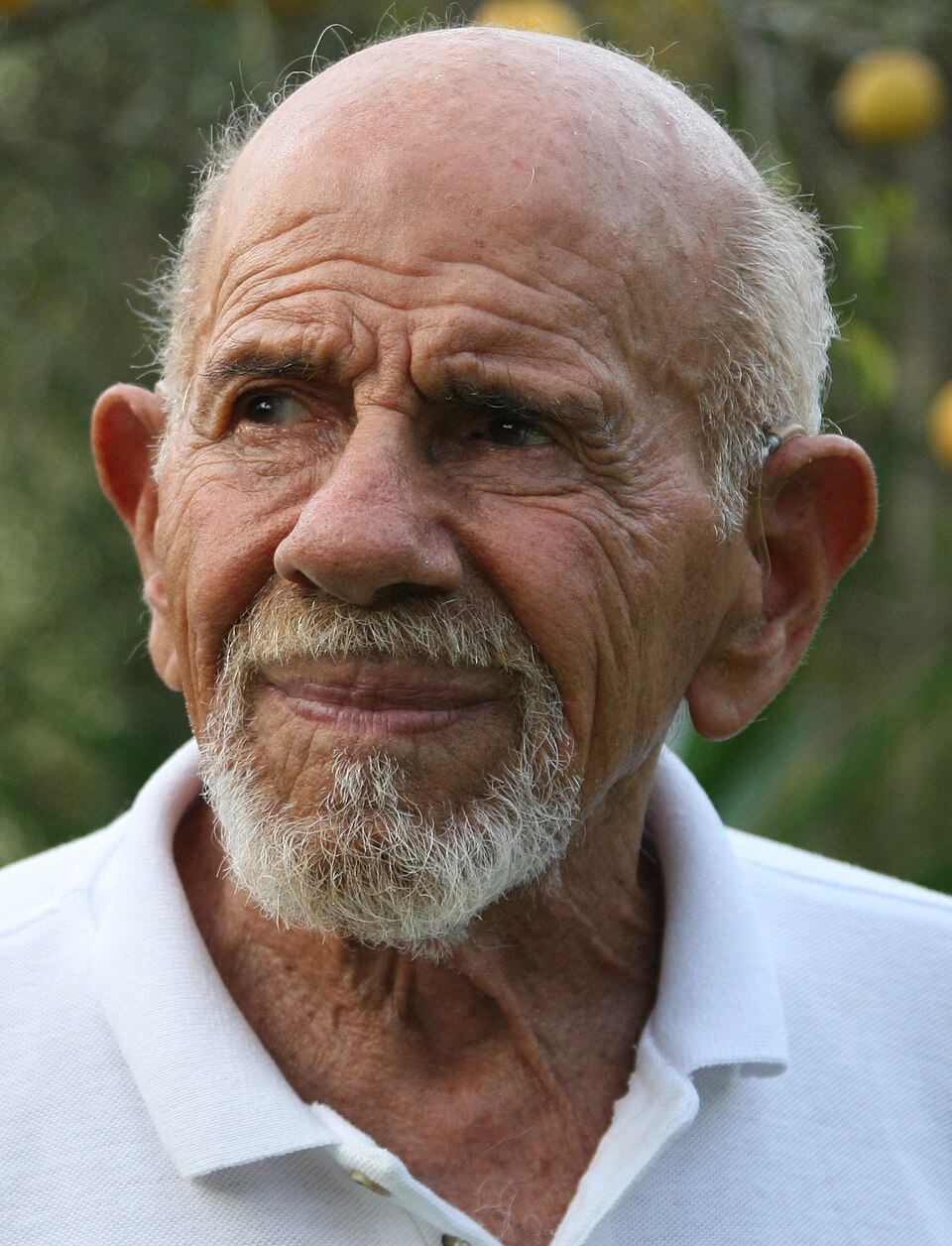 Elon Musk, Jacque Fresco