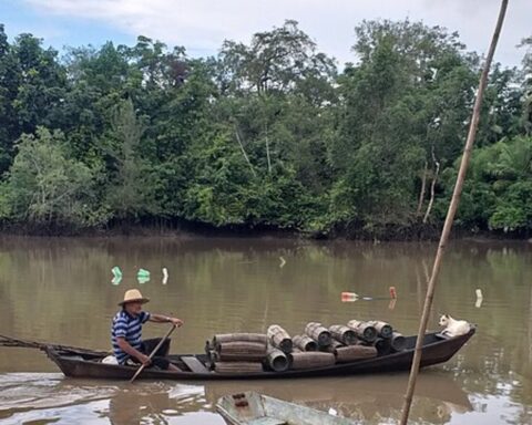 Klimakonference i skyggen af regnskoven: Her er de største temaer til COP30