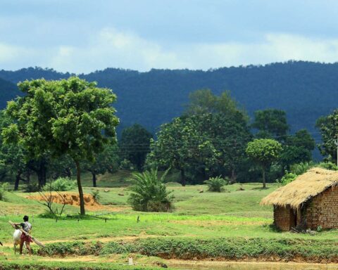 Hvem ejer retten til naturen?