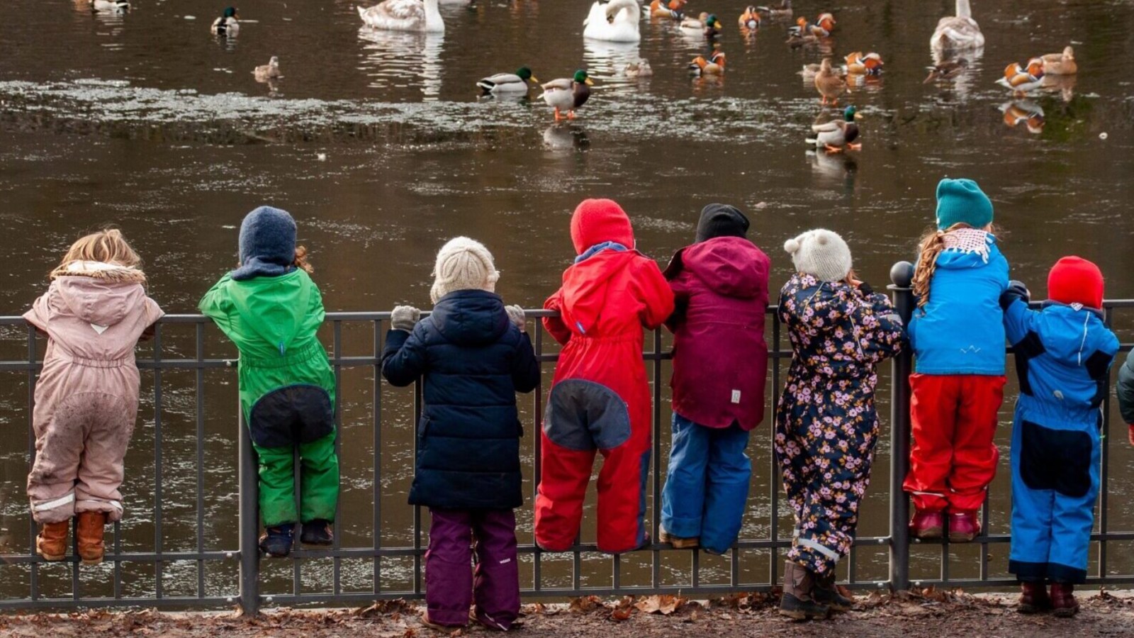 Foto af daginstitutionsbørn på udflugt