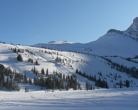 Tumbler Ridge ve foden af Rocky Mountains. BC Canada
