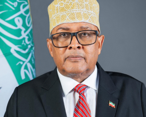 Hvorfor har Israel anerkendt Somaliland som selvstændig stat?