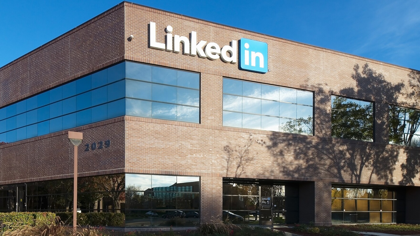 kvinderettigheder, AI