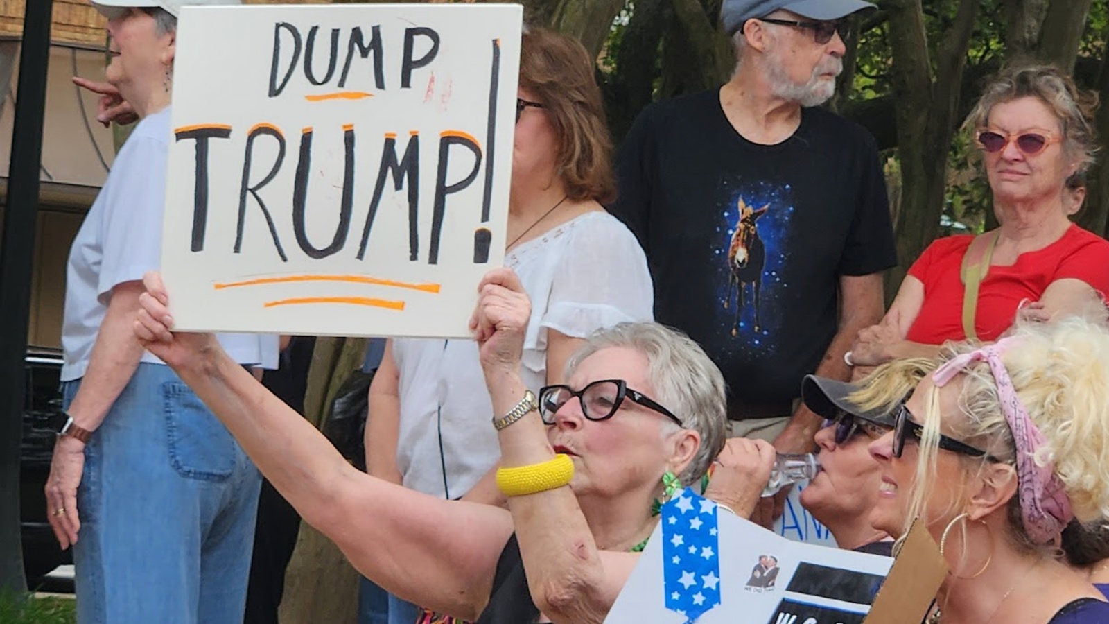 Anti-Trump demonstration i Trumpland i Alabama