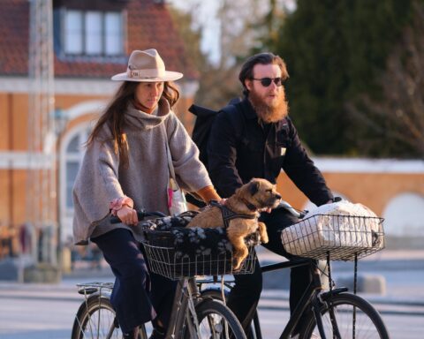 Skat er den forkerte medicin mod en forfejlet boligpolitik