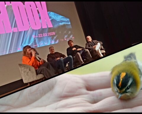 CPH:DOX: Fugletosser er også mennesker