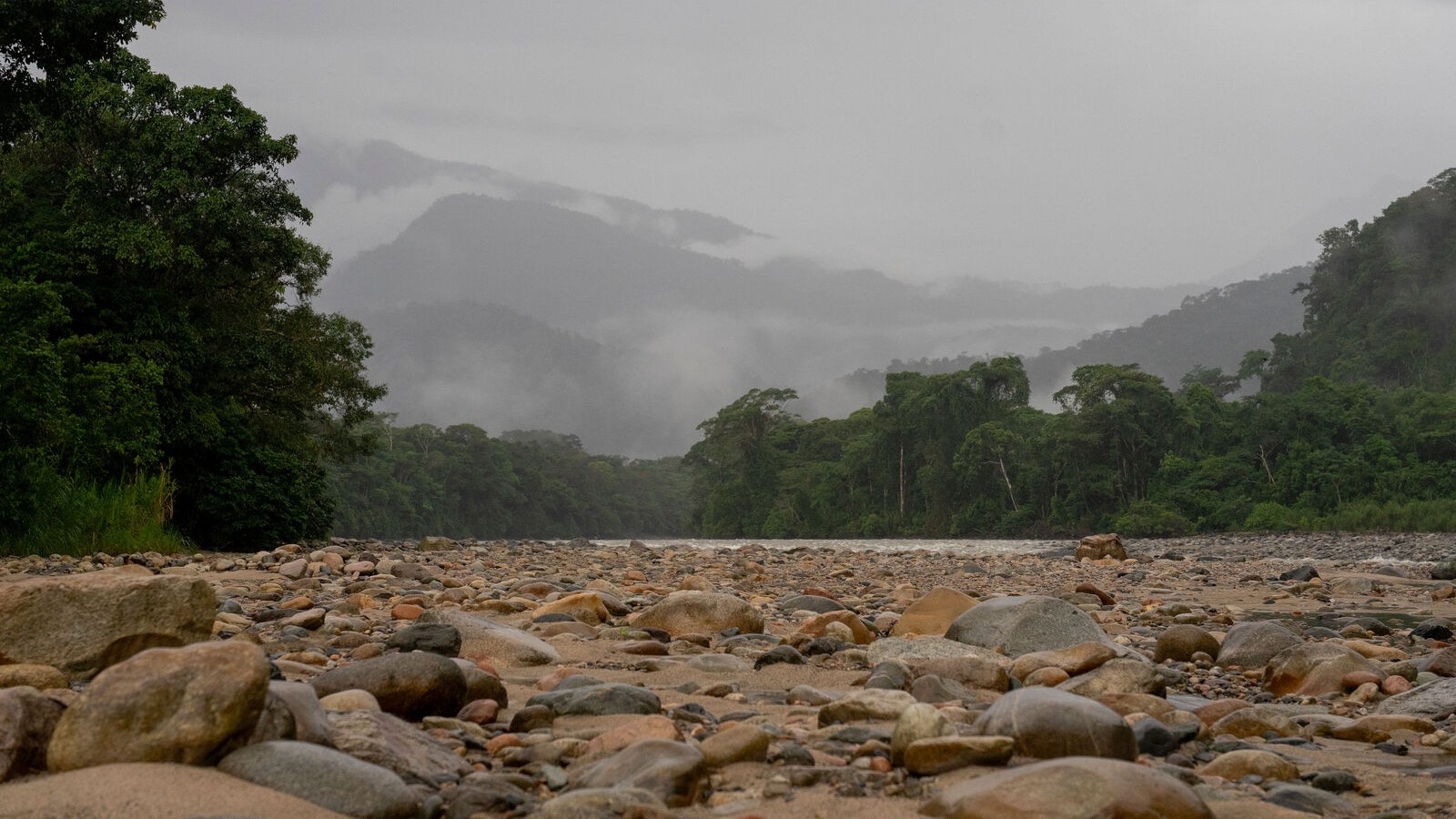 Amazonas