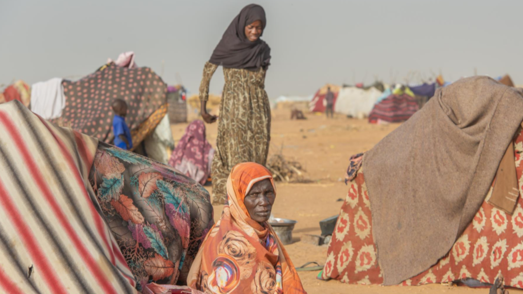 Sudan is the world’s largest displacement crisis. Many have gathered in Tawila in North Darfur. © European Union (photographer: Peter Biro)