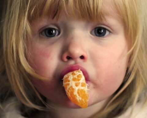 Når vilkårene flytter ind i pædagogikken