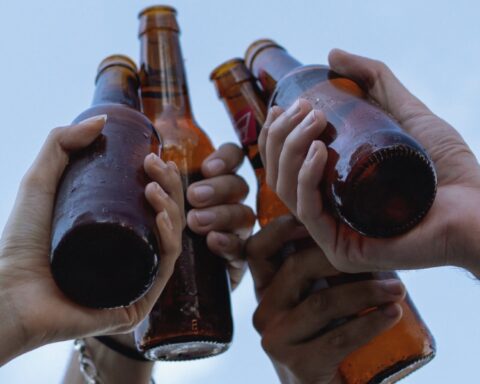 Ny grøn bioindustri truet af kapitalmangel og EU-regler