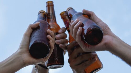 Ny grøn bioindustri truet af kapitalmangel og EU-regler