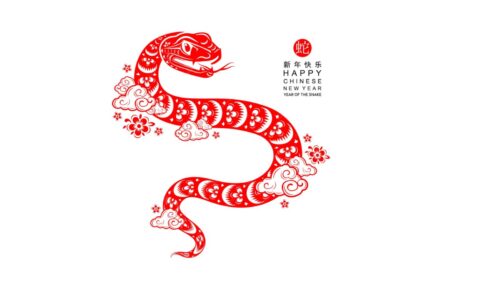 Verdens samlede tilstand er langt bedre end sit rygte