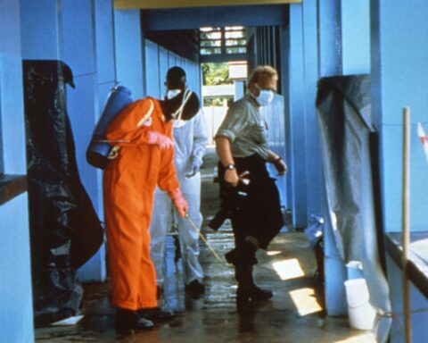 WHO: Usikre data betyder, at spredning af Ebola kan være større end først antaget