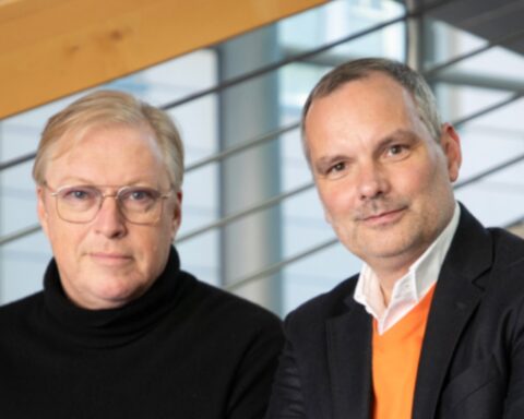 Højreradikal offensiv og økonomisk stilstand: Tyskland skal finde en ny vej ud af krisen