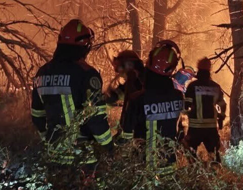 Macron holder krisemøde. Over 300.000 evakueret fra Europas voldsomme skovbrande 