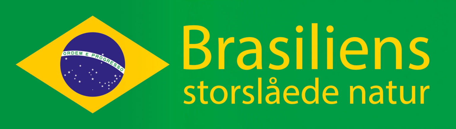 Babassuskoven