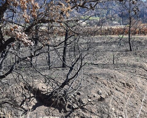 11 omkommet i skovbrand i Spanien – Vesteuropa ramt af rekord varm juni