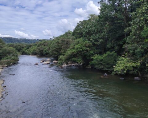 Puyo-floden lider, selv om naturens rettigheder er skrevet ind i Ecuadors grundlov